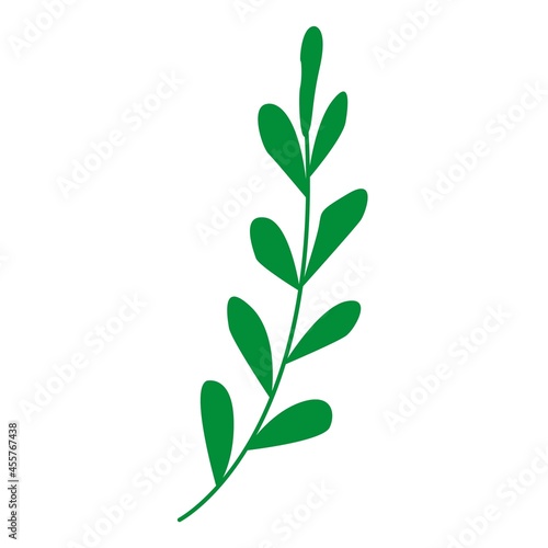 Hand drawn abstract green branch with leaves isolated. Floral element. Cartoon style. Summer  spring or autumn. Nature and ecology. For post cards  posters  social media  textile  prints  wallpaper