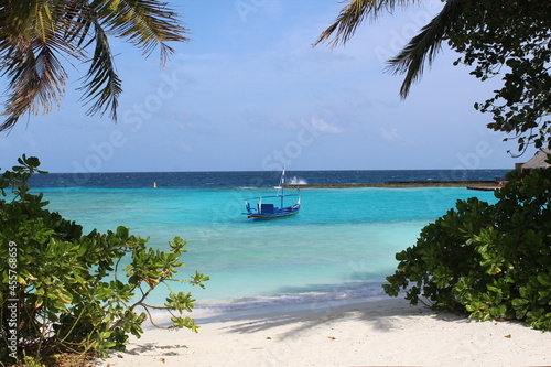 Beautiful scenery frame wallpaper background white sandy beach palms turquoise lagoon Maldives island