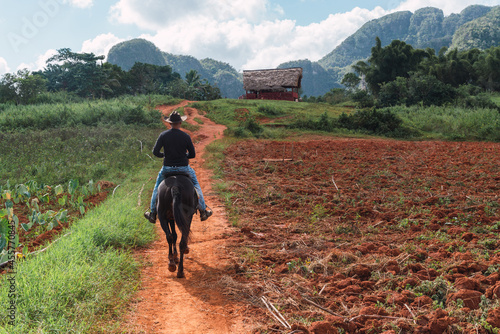 Anonymous male riding horse near field photo