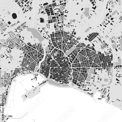Urban city map of Palma de Mallorca. Vector poster. Black grayscale street map.