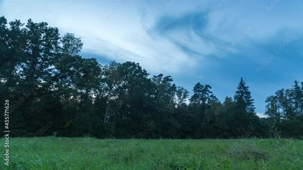 Evening meadow in forest in time lapse. Evening meadow in forest in time lapse.