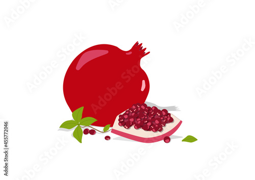 pomegranate with leaves vector art