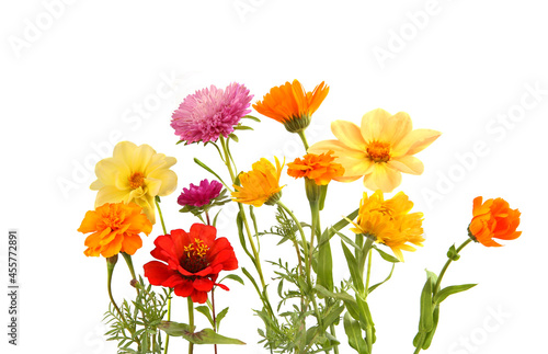 Arrangement of mixed garden flowers isolated on white background. Colorful blossom of calendula  dahlia mignon  aster  cosmos flowers.