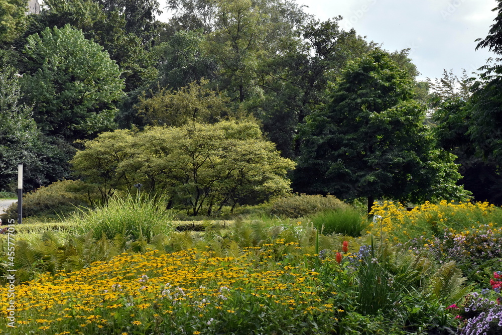 Obraz premium Planten un Blomen in Hamburg im Sommer