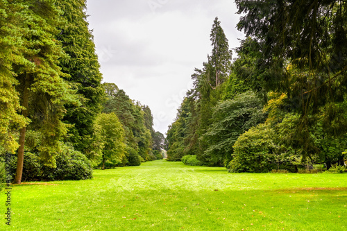 Long avenue of mature trees in a natural parkland setting. No people. © Cerib
