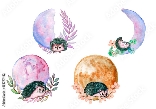 Fototapeta Naklejka Na Ścianę i Meble -  Cute animal illustration, animal clipart, baby shower decoration, watercolor illustration. sleeping on the moon .can be used for cards, invitations, baby shower, posters with white isolated background