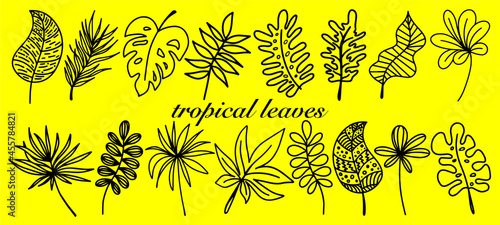 Vector tropical leaves set in doodle style isolated on yellow background. Funny coloring and cute illustration for seasonal design, textile, decoration kids playroom or greeting card. Hand drawn art.