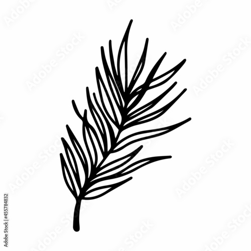Vector sea buckthorn and olive leaves isolated on white background. Tropical leaf coloring and cute illustration for seasonal design, textile, decoration kids playroom or greeting card. Hand drawn art