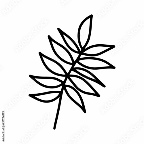 Vector wild tropical leaf isolated on white background. Funny coloring and cute illustration for seasonal design, textile, decoration kids playroom or greeting card. Hand drawn prints and doodle.