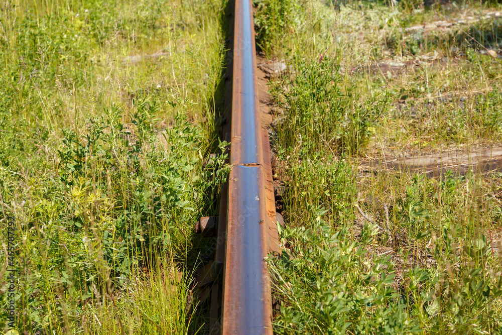 One iron rail in the grass. The old railway. One iron rail in the grass. The old railway.