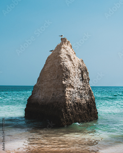 Roca sola en la orilla