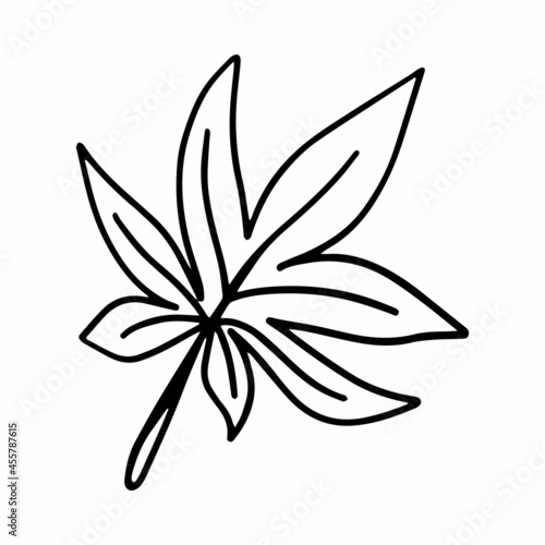 Vector tropical wild cannabis leaf isolated on white background. Medical marijuanas illustration for seasonal design, textile, decoration adult playroom or greeting card. Hand drawn prints and doodle.