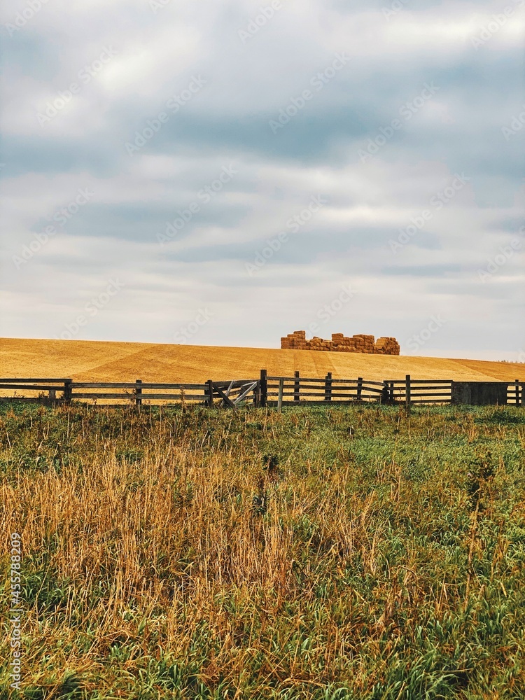 Obraz premium farmer's field on a cloudy day