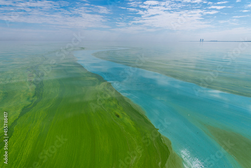 Water pollution by blooming blue-green algae - Cyanobacteria is world environmental problem. Water bodies, rivers and lakes with harmful algal blooms. Ecology concept of polluted nature.