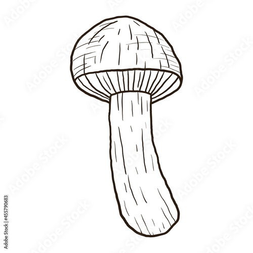 Vector isolated illustration of forest mushroom. Outline black and white doodle sticker.