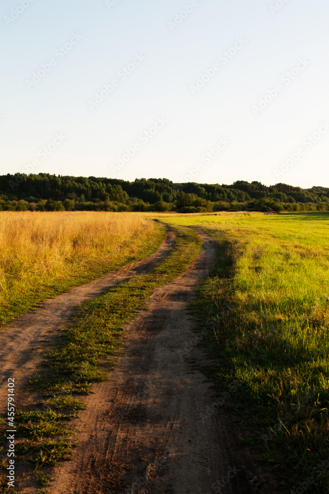 natural landscape the setting sun illuminates the field and forest natural landscape the setting sun illuminates the field and forest