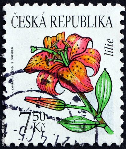 Postage stamp Czech Republic 2005 lily, flower