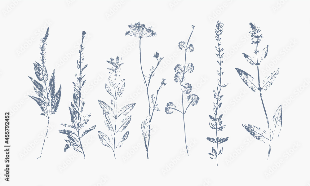 set of monochrome hand printed wild grasses set of monochrome hand printed wild grasses
