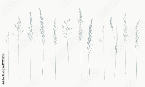 set of monochrome hand printed wild grasses