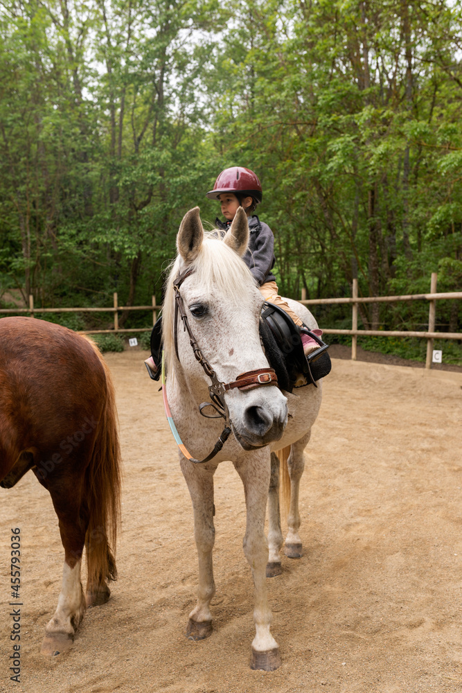kid taking a horse ride outdoors kid taking a horse ride outdoors