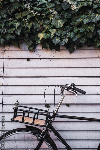 Vintage bicycle parked and leaning in a wooden wall with bushes  photo