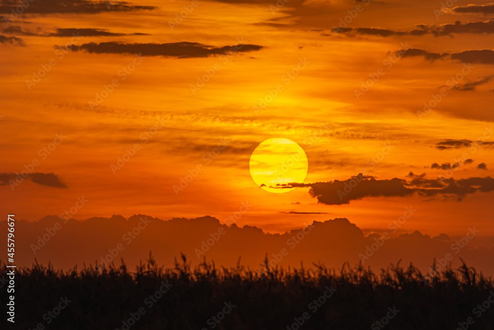 Obraz premium Sunset over a mountain with a corn field.