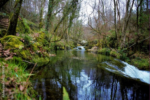 Río en un paraje de Galicia