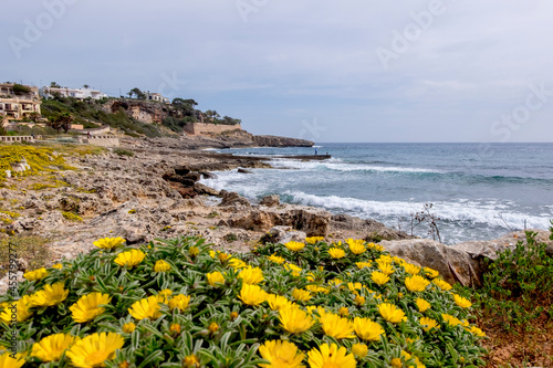 Küstenlandschaft, Küstenstrandstern auf Felsen am Meer, Mallorca