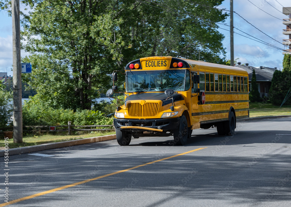 Obraz premium Autobus scolaire écoliers