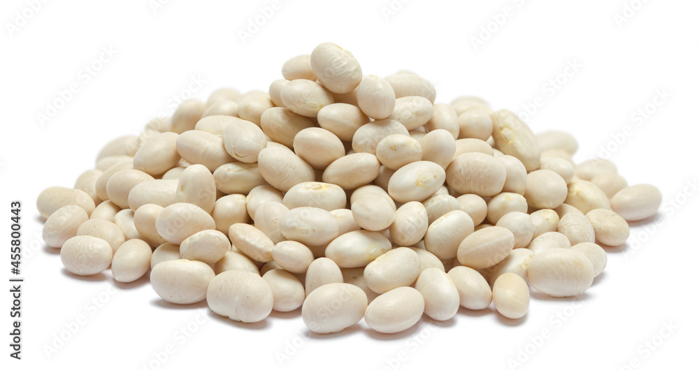 Pile of Navy Beans Pile of Navy Beans