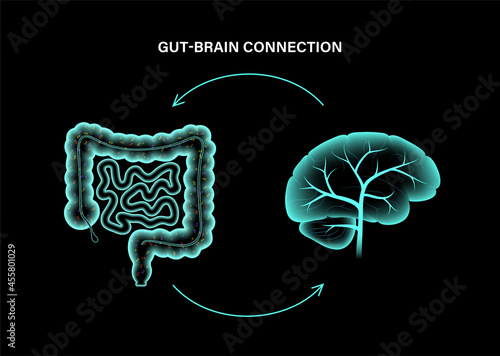 Gut Brain 3D