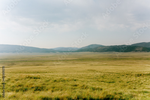 Caldera Mountain Prairie Golden Grass photo
