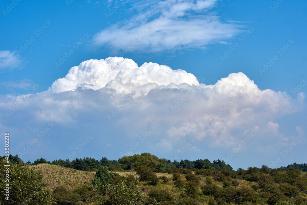 The branches of trees against the cloudy sky