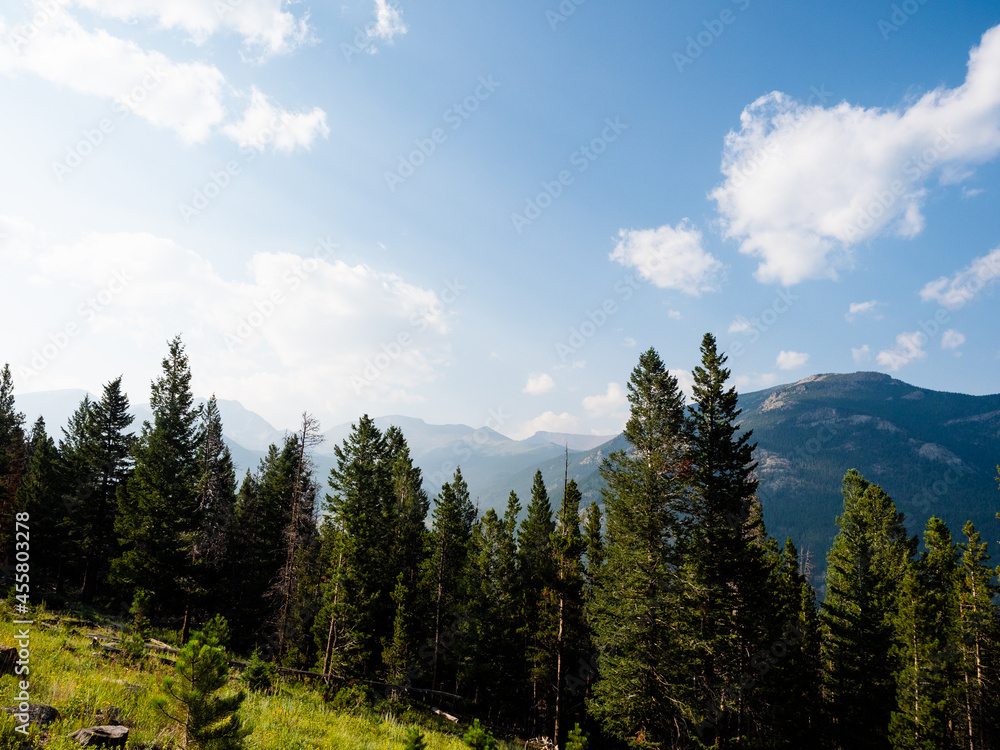 Lush forest lines the foothills of the Rocky Mountains of Colorado. Lush forest lines the foothills of the Rocky Mountains of Colorado.