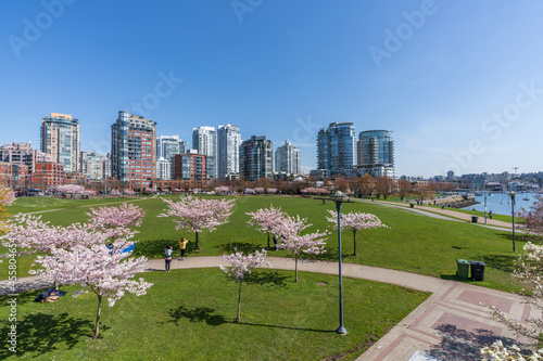Tableau sur toile David Lam Park in springtime season