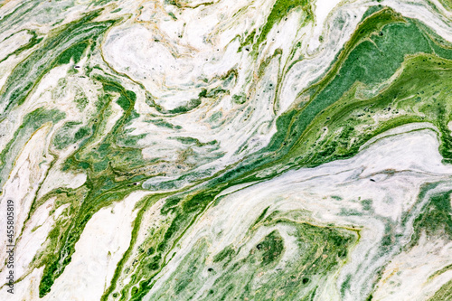 Algal bloom in water of Dnieper river in Ukraine. Green color of water caused by a rapid increase or accumulation of algae. Ecological disaster. Water pollution. Natural green abstract background