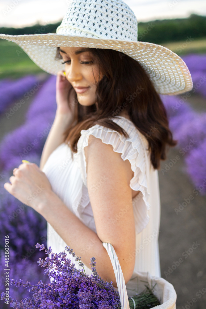 Beautiful woman in the lavender field on sunset in France .Girl collect lavender.Soft focus. Series.