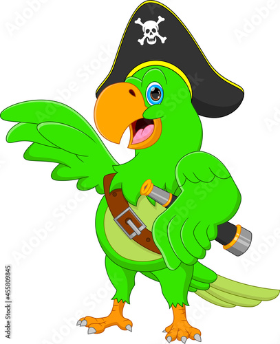 funny pirate parrot cartoon isolated on white background