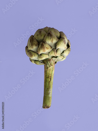 Colorful still life with a floating artichoke photo