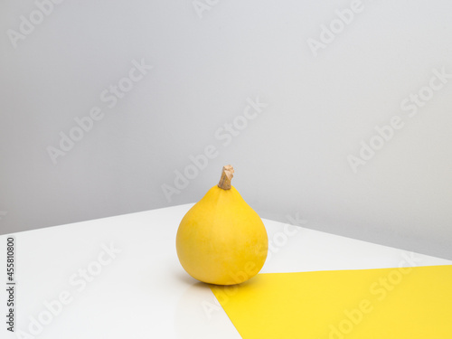 Minimalist still life with a pumpkin photo