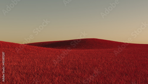 Red grass meadow