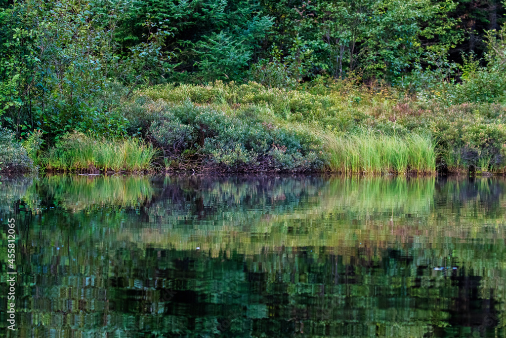 Laurentian Mixed Forest in early autumn Laurentian Mixed Forest in early autumn