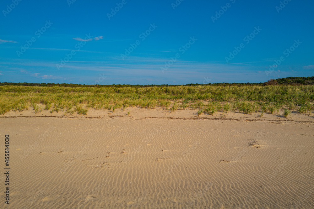 The topographical landscape of the blue sky, grass sand dune, and beach The topographical landscape of the blue sky, grass sand dune, and beach