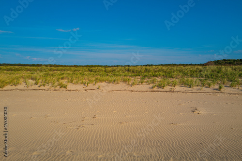 The topographical landscape of the blue sky, grass sand dune, and beach
