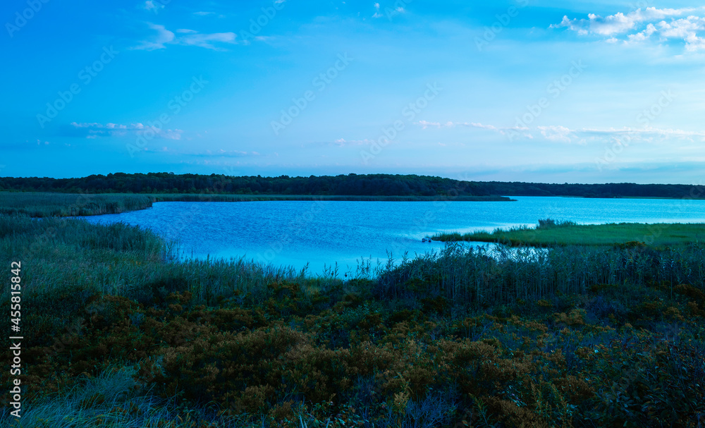Blue-toned seascape over the marshland lagoon and green grasses at dawn