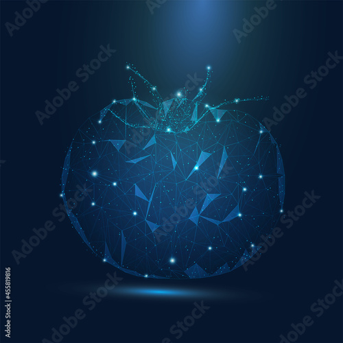 Abstract futuristic Tomato with consisting of point, light, line and shape in the design. Fresh fruit Tomato vector on light dark blue background.