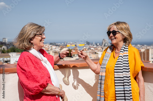 Happy Senior friends having a drink in rooftop photo