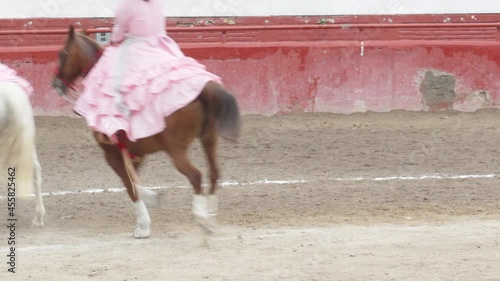 a group of mexican escaramuzas with white and pink dresses performing a stunt on their horses photo