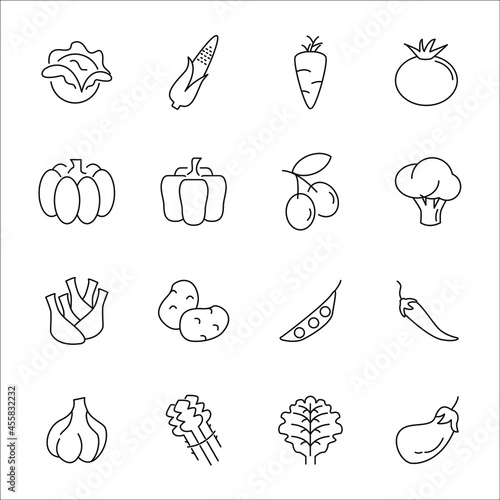 Vegetables icons set. Vegetables pack symbol vector elements for infographic web