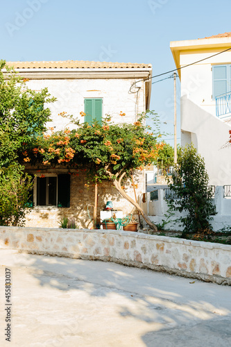 Whitewashed houses in Greece with lush vines outside photo